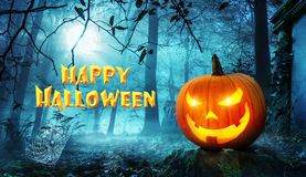 What will you be doing this Halloween?